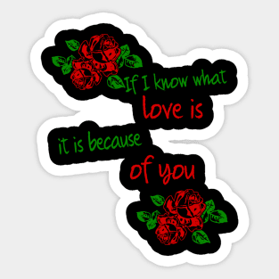if i know what love is it is because of you Sticker